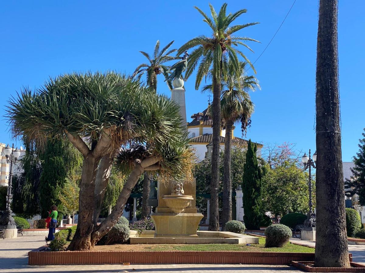 La Terraza De Porvenir 10 - Jerez De La Frontera Lejlighed Eksteriør billede