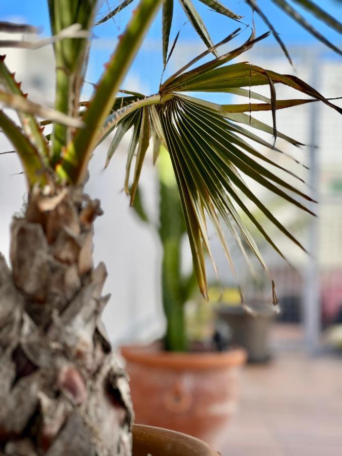 La Terraza De Porvenir 10 - Jerez De La Frontera Lejlighed Eksteriør billede