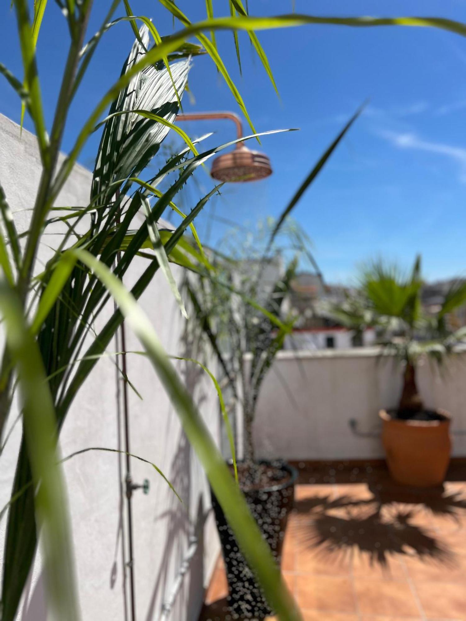 La Terraza De Porvenir 10 - Jerez De La Frontera Lejlighed Eksteriør billede